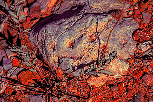 Demonic Leaf Mouthed Rock Face Snarling Among Dirt (Red Tint)