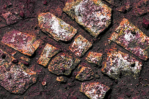 Dirt Covered Stepping Stones (Red Tint Photo)