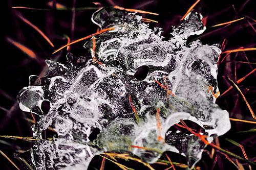 Dismayed Ice Dragon Face Frozen Among Piercing Grass Blades (Red Tint)