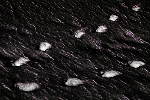 Distancing Snow Footprints (Red Tint)