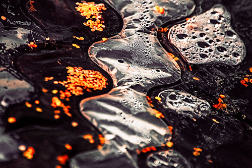 Distorted Plastic Bubble Face Floating Atop Water (Red Tint)