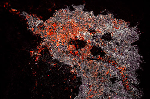 Dry Smirking Moss Face Among Damp Rock Surface (Red Tint)