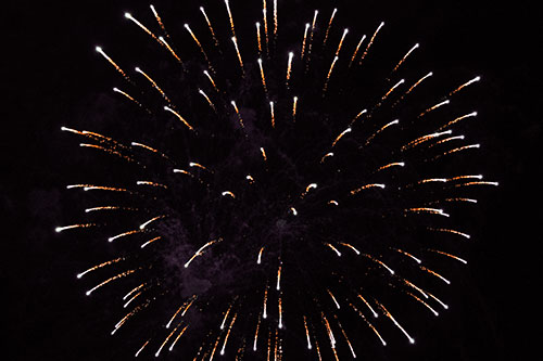 Firework Star Trails Vaporize Among Night Sky (Red Tint Photo)