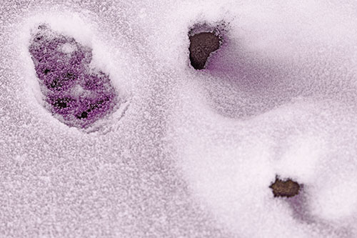 Footprint Eye Snow Face Atop Rock Surface (Red Tint)