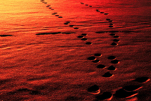Footprint Trail Across Snow Covered Lake (Red Tint Photo)