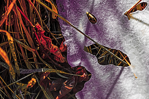 Frozen Protruding Grass Bladed Ice Face (Red Tint)