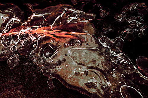 Frozen Shapeshifting Pupil Bubble Eyed Ice Face (Red Tint)