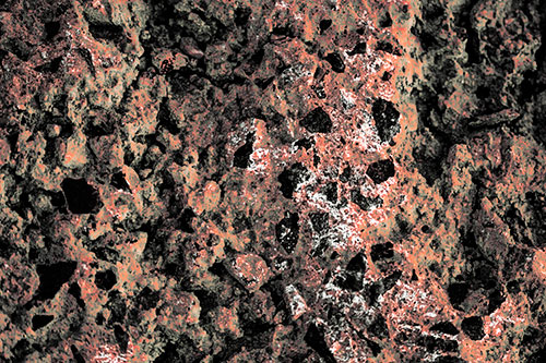 Fungi Covers Rugged Surfaced Stone (Red Tint Photo)