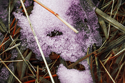 Half Melted Ice Face Smirking Among Reed Grass (Red Tint Photo)