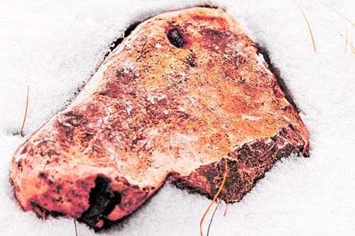 Horse Faced Rock Imprinted In Snow (Red Tint Photo)