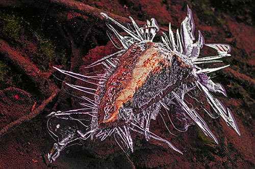 Jagged Spiked Ice Surrounds Water Submerged Rock (Red Tint Photo)