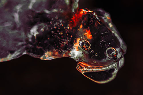 Joyful Frozen Bubble Eyed River Ice Face Creature (Red Tint Photo)