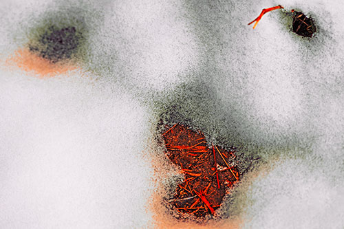 Joyful Soil Face Appears Beneath Melting Snow (Red Tint Photo)