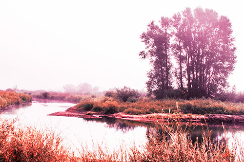 Large Foggy Trees At Edge Of River Bend (Red Tint Photo)