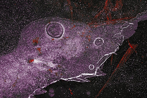 Large Headed Bubble Eyed Ice Face Frozen Among River (Red Tint)