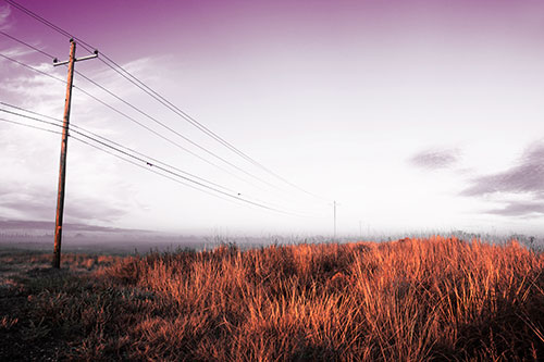 Powerlines Descend Among Foggy Prairie (Red Tint Photo)