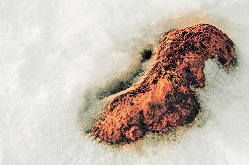 Rock Emerging From Melting Snow (Red Tint Photo)