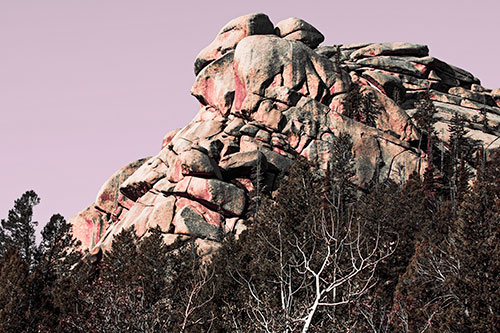 Rock Formations Rising Above Treeline (Red Tint Photo)