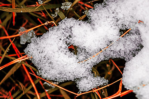 Sad Melting Grass Tangled Snow Face (Red Tint)