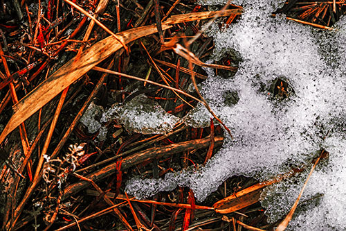 Sad Mouth Melting Ice Face Creature Among Soggy Grass (Red Tint Photo)