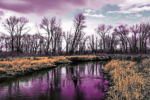 Shadow Casting Trees Along Riverbend (Red Tint)