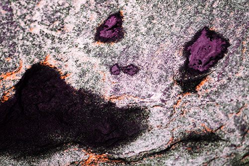 Shocked Puddle Face Drying Among Rock Surface (Red Tint Photo)