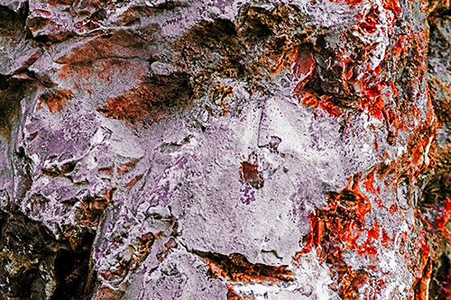Shut Eyed Rock Face Decomposing (Red Tint)