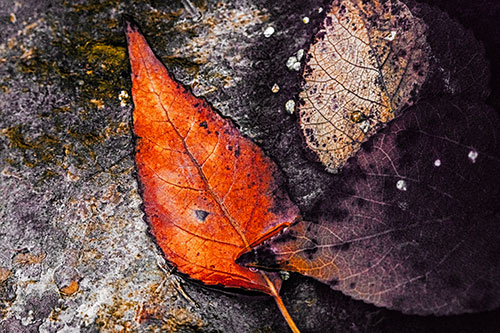 Soggy Cannibal Leaf Face Chewing Another Leaf (Red Tint)