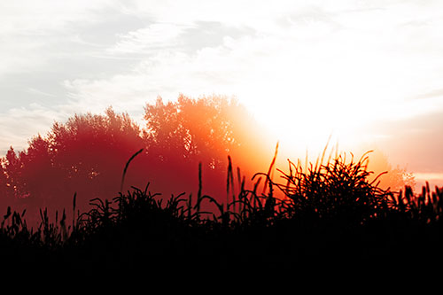 Sun Rises Beyond Fog Filled Treeline (Red Tint Photo)