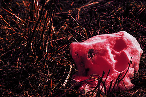 Sunlight Melting Dead Snow Face Head (Red Tint Photo)