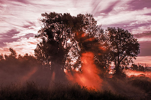 Sunlight Rays Burst Through Fog Surrounded Trees (Red Tint)