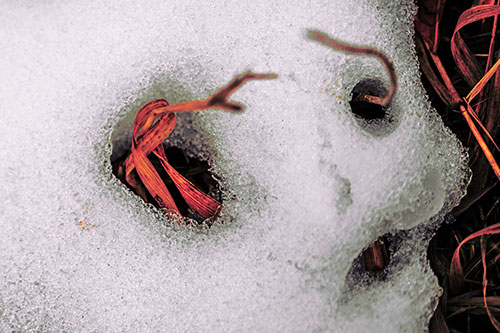 Twisting Grass Eyed Snow Face (Red Tint Photo)
