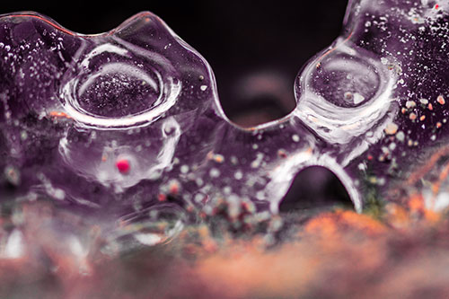 Vertical Bubble Eyed Screaming Ice Face Along Frozen River (Red Tint Photo)