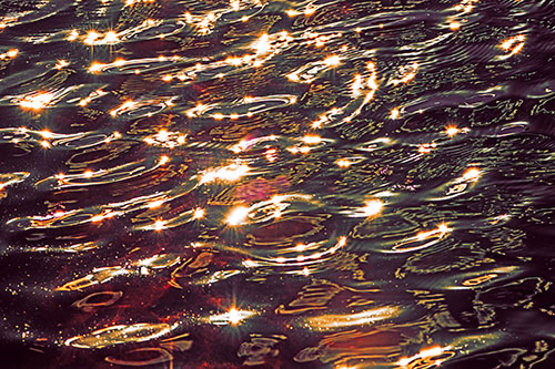 Water Ripples Sparkling Among Sunlight (Red Tint Photo)