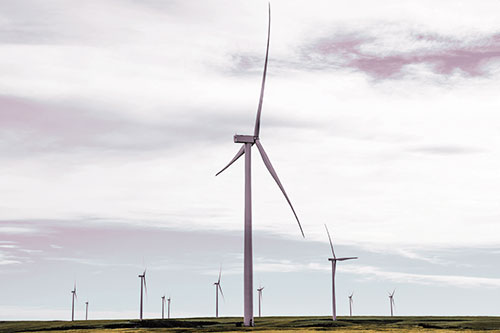 Wind Turbine Cluster Standing Tall Among Horizon (Red Tint)