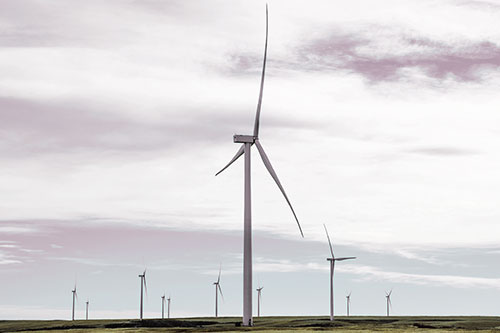 Wind Turbine Standing Tall Among The Rest (Red Tint Photo)