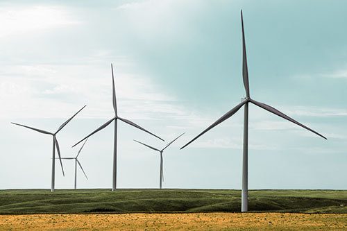 Wind Turbines Standing Tall On Green Pasture (Red Tint Photo)