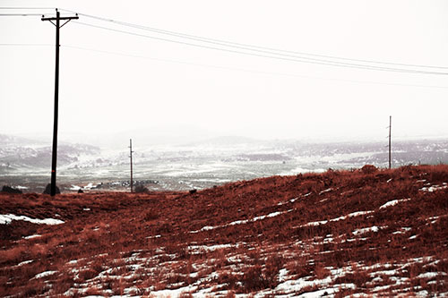 Winter Snowstorm Approaching Powerlines (Red Tint Photo)
