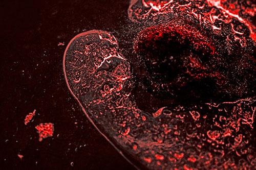 Angry Eyebrow Raised Ice Bubble Creature Bending Beside Mossy Rock (Red Tone)