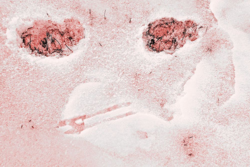 Beak Mouthed Footprint Face Among Snow (Red Tone)