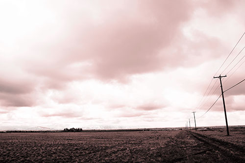Bleak Clouded Sky Consumes Powerline Prairie (Red Tone Photo)