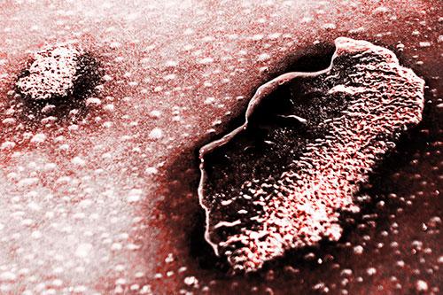 Bubble Head Face Peeking Through Ice (Red Tone Photo)