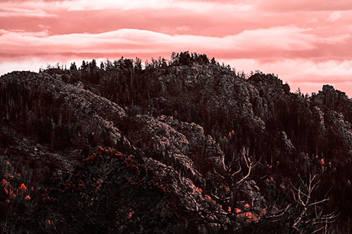 Cloudy Summit Trailhead Mountain Top (Red Tone Photo)