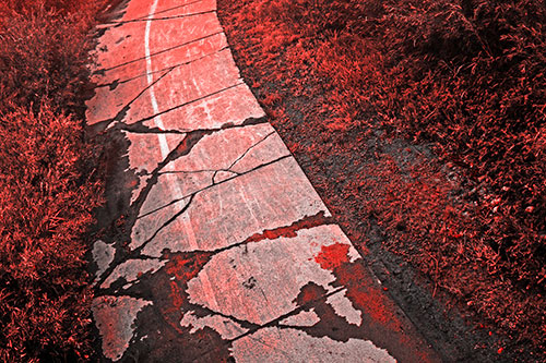 Curving Muddy Concrete Cracked Sidewalk (Red Tone Photo)