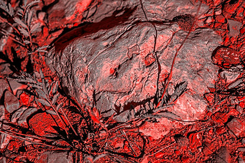 Demonic Leaf Mouthed Rock Face Snarling Among Dirt (Red Tone)