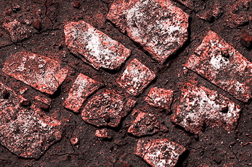 Dirt Covered Stepping Stones (Red Tone Photo)