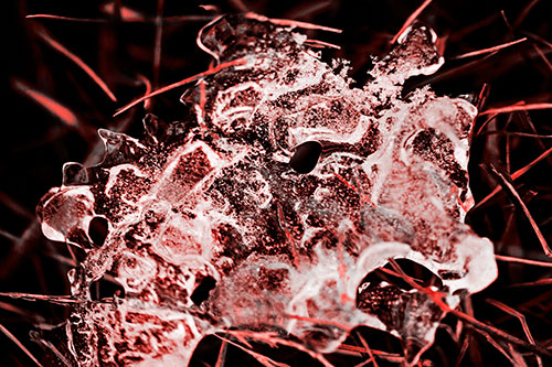 Dismayed Ice Dragon Face Frozen Among Piercing Grass Blades (Red Tone)