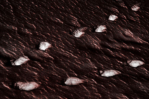 Distancing Snow Footprints (Red Tone)