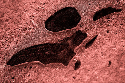 Distorted Skull Face Within Frozen Ice (Red Tone Photo)
