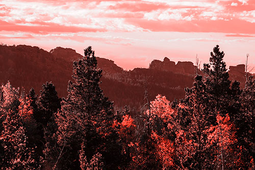 Fall Colors Emerge Infront Of Mountain Range (Red Tone Photo)